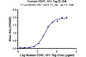 ELISA image for CD47 (CD47) (AA 19-139) protein (Fc Tag) (ABIN7274225)