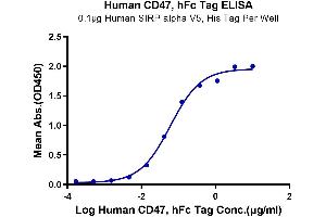 Immobilized Human SIRP alpha V5, His Tag at 1 μg/mL (100 μL/Well). (CD47 Protein (CD47) (AA 19-139) (Fc Tag))