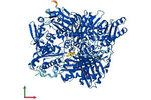 AlphaFold protein structure predicition of Mouse Recombinant Aox1 Protein, UniprotID O54754