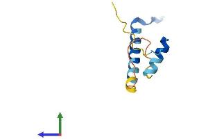 AlphaFold protein structure predicition of Human Recombinant CDC26 Protein, UniprotID Q8NHZ8