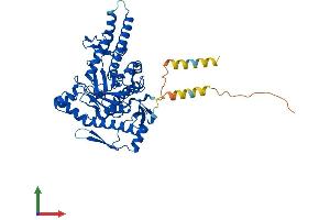 Protein Structure (PS) image for Hyaluronidase-4 (HYAL4) (AA 1-481) protein (His tag) (ABIN7548489)
