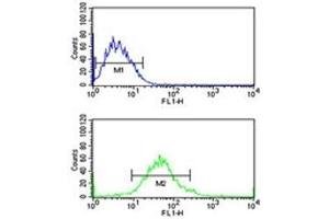 Flow Cytometry (FACS) image for anti-Glucose-6-Phosphate Dehydrogenase (G6PD) (AA 297-326) antibody (ABIN3031057)