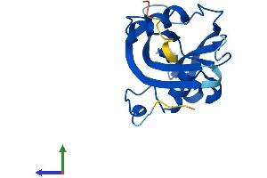 AlphaFold protein structure predicition of Human Recombinant NUDT15 Protein, UniprotID Q9NV35