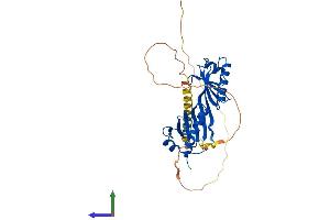 AlphaFold protein structure predicition of Mouse Recombinant Tbp Protein, UniprotID P29037 (TBP Protein (AA 1-316) (His tag))