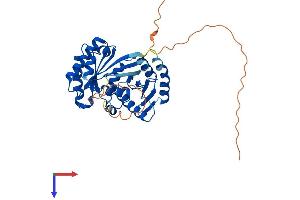 AlphaFold protein structure predicition of Human Recombinant RRAGB Protein, UniprotID Q5VZM2 (RRAGB Protein (AA 1-374) (His tag))