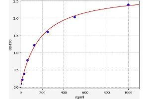 Typical standard curve (GMFB ELISA Kit)