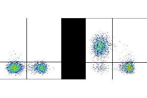 C57Bl/6 splenocytes were stained with APC Anti-Mouse CD3 (ABIN6961872) and 0. (MHC II (I-A/I-E) antibody  (violetFluor™ 500))