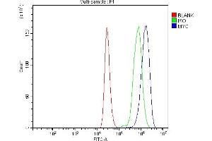 Flow Cytometry analysis of THP-1 cells using anti-C-Myc/MYC antibody (ABIN7602629). (c-MYC antibody  (AA 9-439))