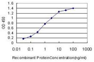 Detection limit for recombinant GST tagged NVL is approximately 0. (NVL antibody  (AA 757-856))