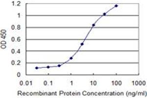 Detection limit for recombinant GST tagged SPRR2F is 0. (SPRR2F antibody  (AA 1-72))