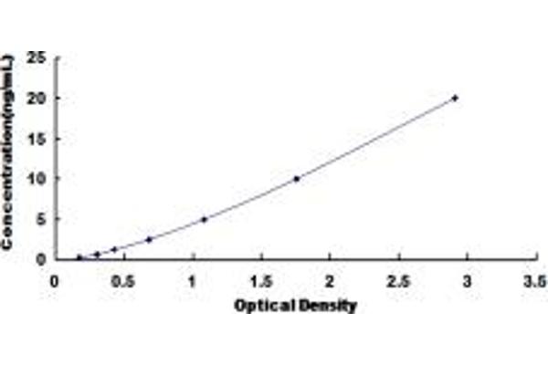 NPY5R ELISA Kit