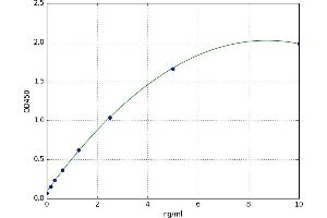 PRKC, Apoptosis, WT1, Regulator (PAWR) ELISA Kit