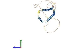 AlphaFold protein structure predicition of Mouse Recombinant Wtap Protein, UniprotID Q9ER69 (WTAP Protein (AA 1-396) (His tag))