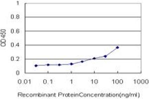 Detection limit for recombinant GST tagged UBE2D3 is approximately 1ng/ml as a capture antibody. (UBE2D3 antibody  (AA 1-147))