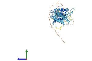 AlphaFold protein structure predicition of Human Recombinant CNOT11 Protein, UniprotID Q9UKZ1