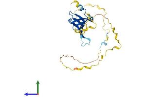 Protein Structure (PS) image for Small Nuclear Ribonucleoprotein Polypeptide N (SNRPN) (AA 1-240) protein (His tag) (ABIN7556650)