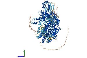 Protein Structure (PS) image for DEAH (Asp-Glu-Ala-His) Box Polypeptide 30 (DHX30) (AA 1-1194) protein (His tag) (ABIN7553691)