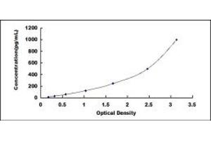 Typical standard curve (CD93 ELISA Kit)