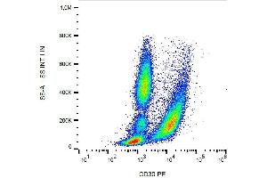 Surface staining of human blood cells with anti-CD30 (MEM-268) PE. (TNFRSF8 antibody  (PE))