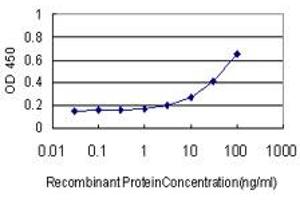 Detection limit for recombinant GST tagged SYN1 is approximately 3ng/ml as a capture antibody. (SYN1 antibody  (AA 362-450))