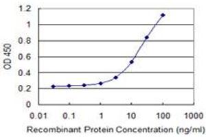 Detection limit for recombinant GST tagged PAXIP1 is 0. (PAXIP1 antibody  (AA 868-975))