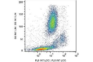 Surface staining of human peripheral blood with anti-human CD147 (MEM-M6/1) APC. (CD147 antibody  (APC))