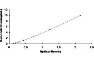 PPP2R4 ELISA Kit