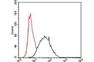 Flow Cytometry (FACS) image for anti-Keratin 5 (KRT5) antibody (ABIN1106933) (Cytokeratin 5 antibody)