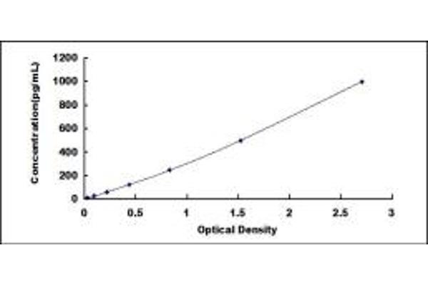 SYCP3 ELISA Kit