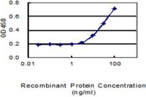 Detection limit for recombinant GST tagged TMCO2 is 1 ng/ml as a capture antibody. (TMCO2 antibody  (AA 1-182))