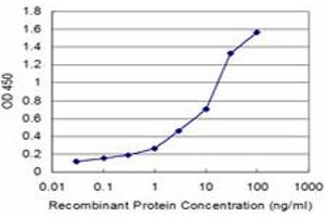 Detection limit for recombinant GST tagged VCL is approximately 0. (Vinculin antibody  (AA 1-1066))