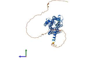 Protein Structure (PS) image for Adenosine A2a Receptor (ADORA2A) (AA 1-412) protein (His tag) (ABIN7551750)