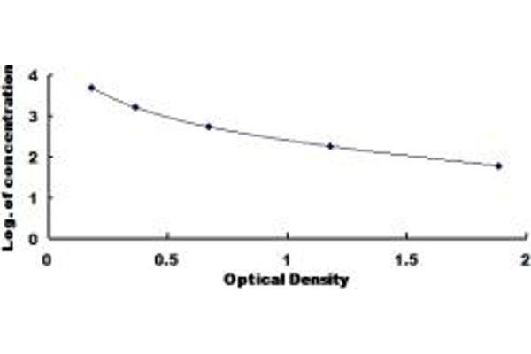 SCGN ELISA Kit