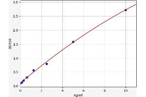 PKC zeta ELISA Kit