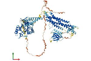 AlphaFold protein structure predicition of Mouse Recombinant Dnm2 Protein, UniprotID P39054 (DNM2 Protein (AA 1-870) (His tag))