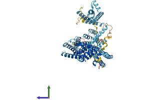 Protein Structure (PS) image for Two Pore Segment Channel 2 (TPCN2) (AA 1-752) protein (His tag) (ABIN7555840)