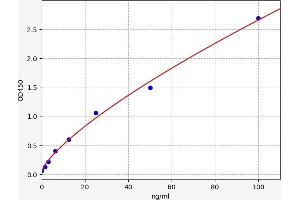 Oxidized HDL ELISA Kit