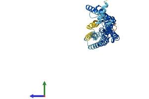 AlphaFold protein structure predicition of Human Recombinant OR5T3 Protein, UniprotID Q8NGG3 (OR5T3 Protein (AA 1-340) (His tag))