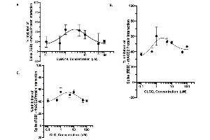 Inhibition of rhACE2 and SARS-CoV-2 Spike (RBD) Protein Interaction by Clioquinol (CLQ) and Analogues: A. (COVID-19 Spike-ACE2 Binding Assay Kit)