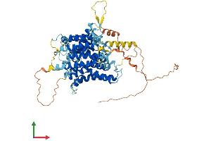 Protein Structure (PS) image for Solute Carrier Family 23 Member 3 (SLC23A3) (AA 1-611) protein (His tag) (ABIN7557624)