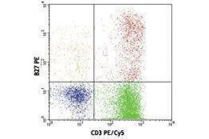 Flow Cytometry (FACS) image for anti-Interferon gamma (IFNG) antibody (PE) (ABIN2663751) (Interferon gamma antibody  (PE))