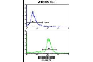 Flow cytometric analysis of ATDC5 cells using NDUFS4 Antibody (bottom histogram) compared to a negative control cell (top histogram). (NDUFS4 antibody  (C-Term))