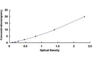 SLC9A3 ELISA Kit