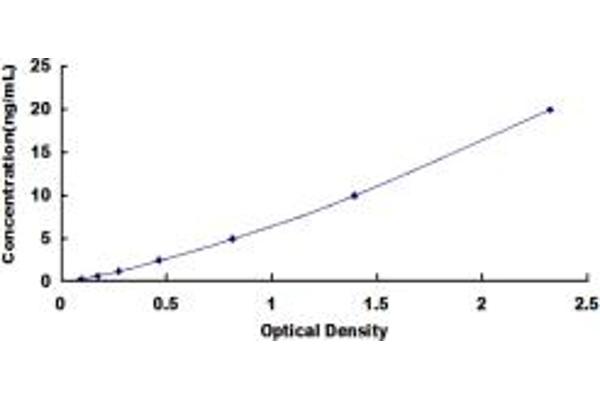 SLC9A3 ELISA Kit