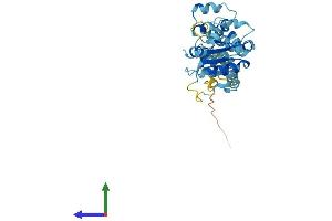 AlphaFold protein structure predicition of Human Recombinant MYD88 Protein, UniprotID Q99836 (MYD88 Protein (AA 1-296) (His tag))