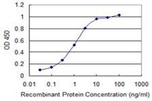 Detection limit for recombinant GST tagged FKBP10 is 0. (FKBP10 antibody  (AA 377-470))