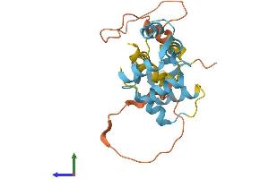 AlphaFold protein structure predicition of Human Recombinant MYL10 Protein, UniprotID Q9BUA6 (MYL10 Protein (AA 1-226) (His tag))