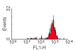 ABIN118533 staining of human peripheral blood monocytes, visualised with rabbit anti-mouse IgG: FITC (CD14 antibody)