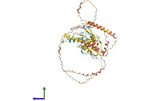 Protein Structure (PS) image for IKAROS Family Zinc Finger 3 (Aiolos) (IKZF3) (AA 1-507) protein (His tag) (ABIN7562220)