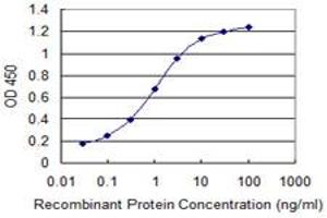 Detection limit for recombinant GST tagged SUPT16H is 0. (SUPT16H antibody  (AA 608-715))